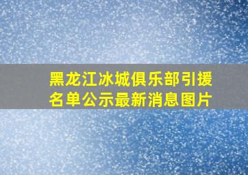 黑龙江冰城俱乐部引援名单公示最新消息图片