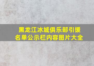 黑龙江冰城俱乐部引援名单公示栏内容图片大全