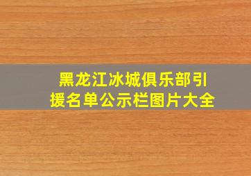 黑龙江冰城俱乐部引援名单公示栏图片大全