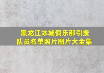 黑龙江冰城俱乐部引援队员名单照片图片大全集