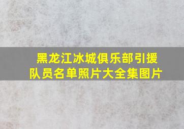 黑龙江冰城俱乐部引援队员名单照片大全集图片