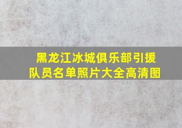 黑龙江冰城俱乐部引援队员名单照片大全高清图