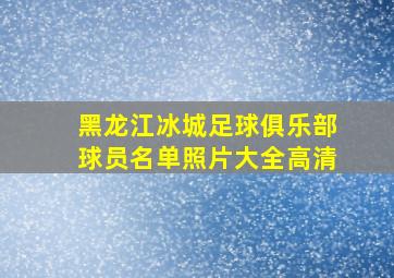 黑龙江冰城足球俱乐部球员名单照片大全高清