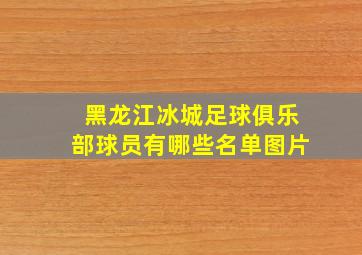 黑龙江冰城足球俱乐部球员有哪些名单图片