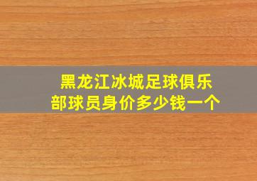 黑龙江冰城足球俱乐部球员身价多少钱一个