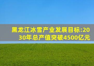 黑龙江冰雪产业发展目标:2030年总产值突破4500亿元