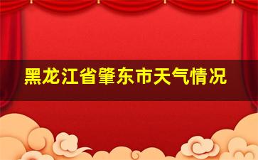 黑龙江省肇东市天气情况