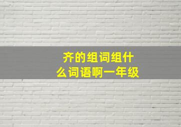 齐的组词组什么词语啊一年级