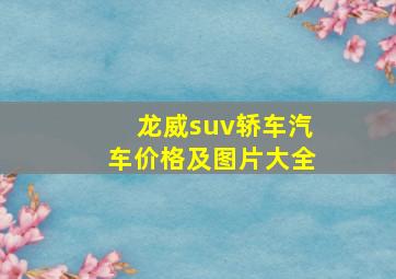 龙威suv轿车汽车价格及图片大全