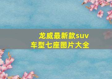 龙威最新款suv车型七座图片大全