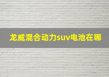 龙威混合动力suv电池在哪