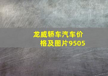 龙威轿车汽车价格及图片9505