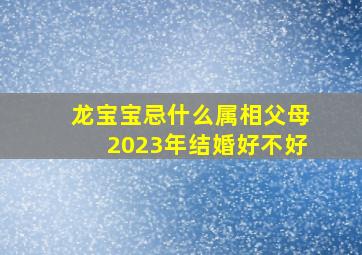 龙宝宝忌什么属相父母2023年结婚好不好