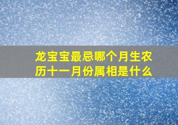 龙宝宝最忌哪个月生农历十一月份属相是什么