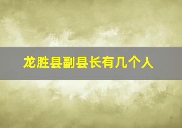 龙胜县副县长有几个人