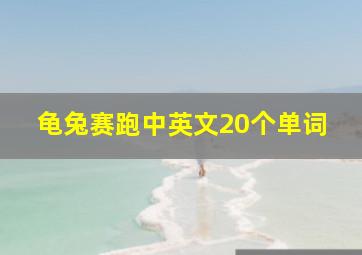 龟兔赛跑中英文20个单词