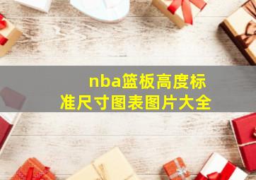 nba篮板高度标准尺寸图表图片大全