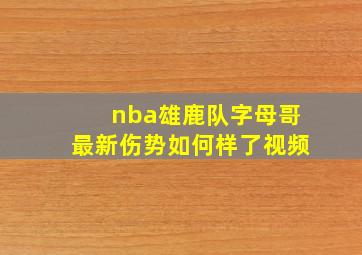 nba雄鹿队字母哥最新伤势如何样了视频