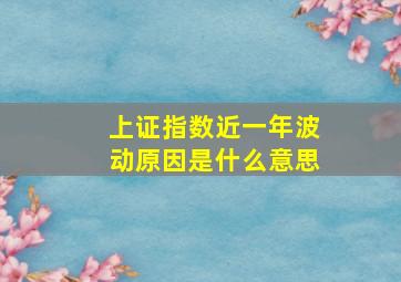 上证指数近一年波动原因是什么意思