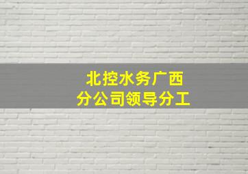 北控水务广西分公司领导分工