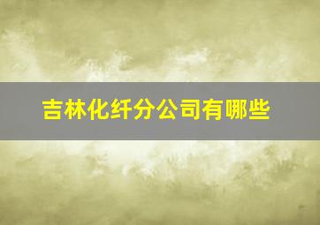 吉林化纤分公司有哪些