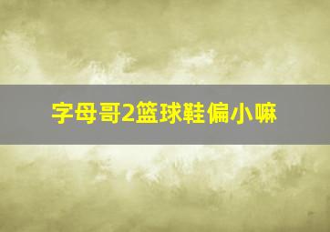 字母哥2篮球鞋偏小嘛