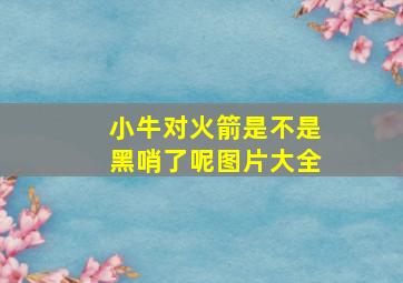 小牛对火箭是不是黑哨了呢图片大全