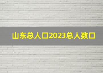 山东总人口2023总人数口