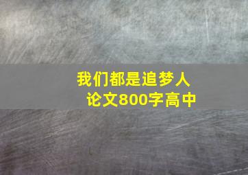 我们都是追梦人论文800字高中