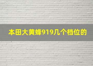 本田大黄蜂919几个档位的