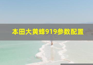 本田大黄蜂919参数配置