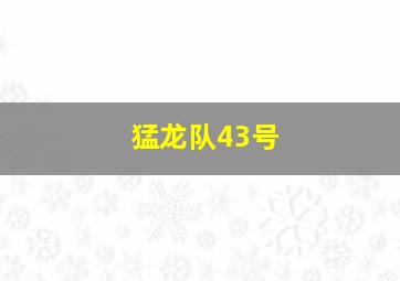 猛龙队43号