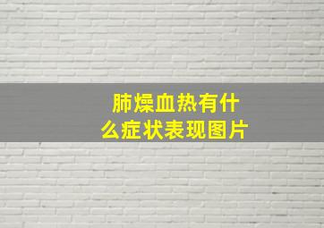 肺燥血热有什么症状表现图片