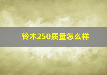 铃木250质量怎么样