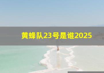 黄蜂队23号是谁2025